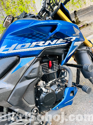 Hornet 2.0